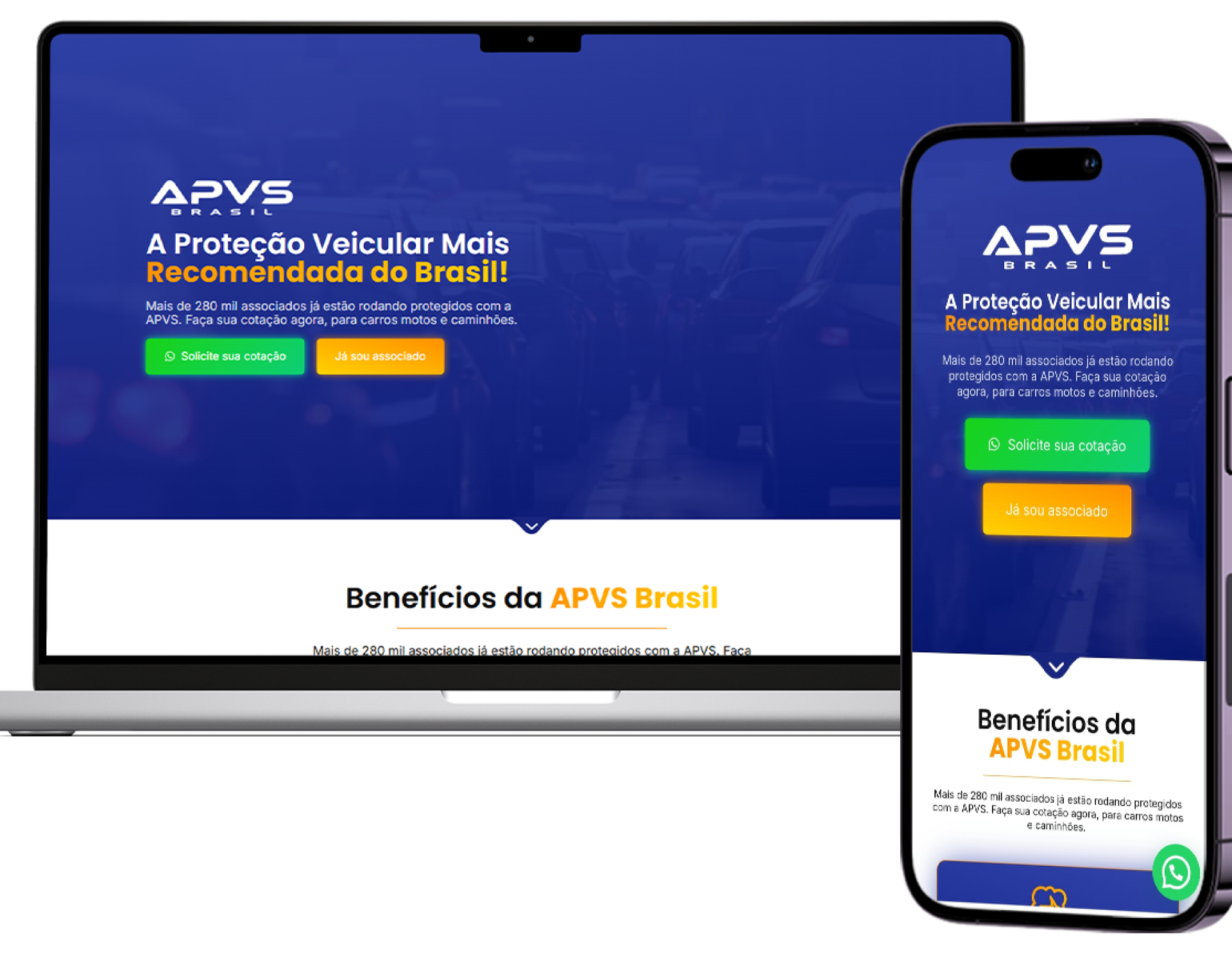 APVS Brasil